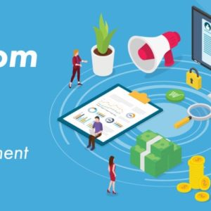 Custom ERP Development