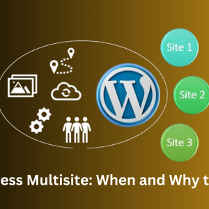 WordPress Multisite Development