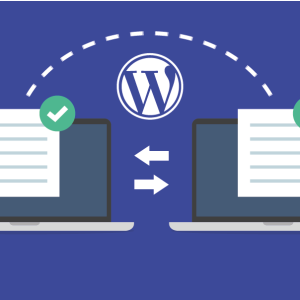 WordPress Website Migration